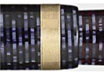 Stacked coin band